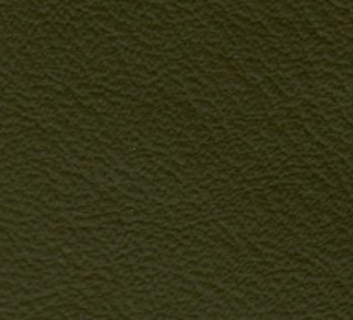 Colourlock Leder Fresh Tónování 250ml + Tekutá kůže 30ml