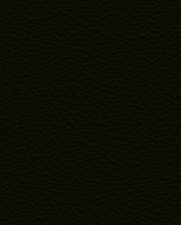 Colourlock Leder Fresh Tónování 250ml + Tekutá kůže 30ml