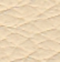 Colourlock Tekutá kůže + Leder Fresh Tónování