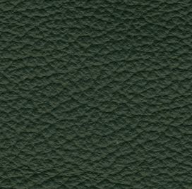 Colourlock Leder Fresh tónování