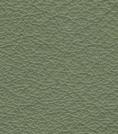 Colourlock Leder Fresh tónování