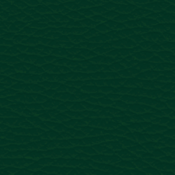 Colourlock Leder Fresh tónování