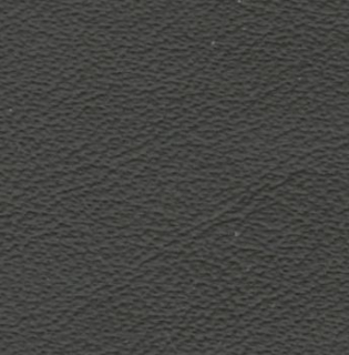 Colourlock Leder Fresh Tónování 250ml + Tekutá kůže 30ml
