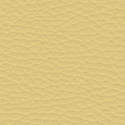 Colourlock Leder Fresh tónování